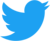 Logotipo de Twitter con un enlace a la página de Plural